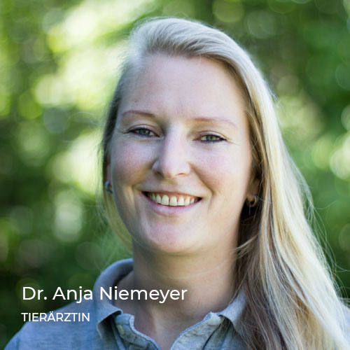 Dr. Anja Niemeyer